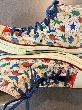 Converse Chuck High Top Multi Color Dinosaur Limited Edition All Star M8.5/W10.5